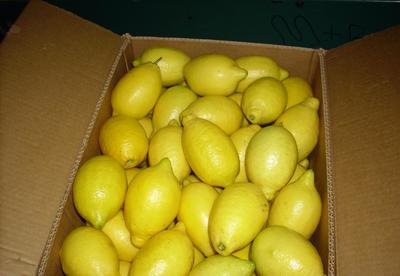 【新西蘭檸檬代理 清關(guān)服務(wù)代理 北京上海專業(yè)報關(guān)行為您服務(wù)】價格_廠家_圖片