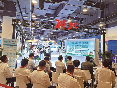 數(shù)智產(chǎn)品改變生活 17件湖北精品閃耀服貿(mào)會(huì)